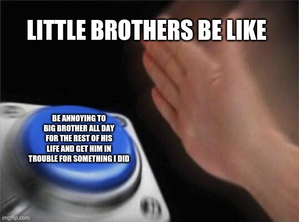 little brothers be like | LITTLE BROTHERS BE LIKE; BE ANNOYING TO BIG BROTHER ALL DAY FOR THE REST OF HIS LIFE AND GET HIM IN TROUBLE FOR SOMETHING I DID | image tagged in memes,blank nut button | made w/ Imgflip meme maker
