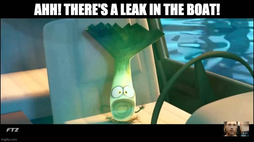 AHH! THERE'S A LEAK IN THE BOAT! | image tagged in leaks | made w/ Imgflip meme maker