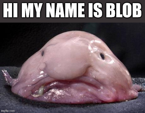 Blobfish | HI MY NAME IS BLOB | image tagged in blobfish | made w/ Imgflip meme maker