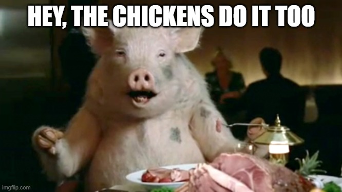 pork cannibal  |  HEY, THE CHICKENS DO IT TOO | image tagged in pork cannibal | made w/ Imgflip meme maker