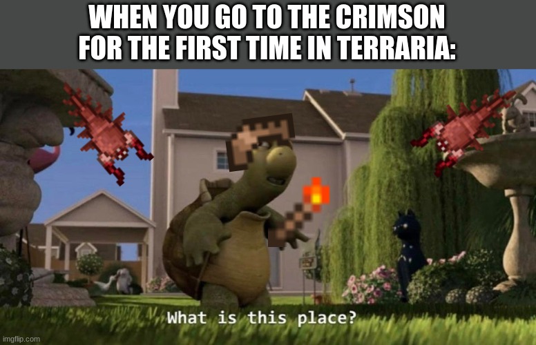 What is this place | WHEN YOU GO TO THE CRIMSON FOR THE FIRST TIME IN TERRARIA: | image tagged in what is this place,terraria,memes,gaming | made w/ Imgflip meme maker