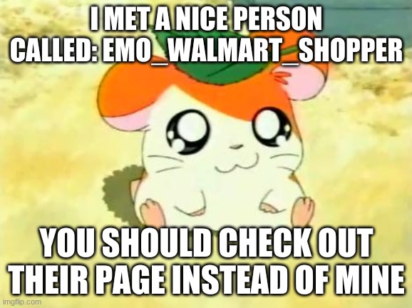 Hamtaro | I MET A NICE PERSON CALLED: EMO_WALMART_SHOPPER; YOU SHOULD CHECK OUT THEIR PAGE INSTEAD OF MINE | image tagged in memes,hamtaro | made w/ Imgflip meme maker