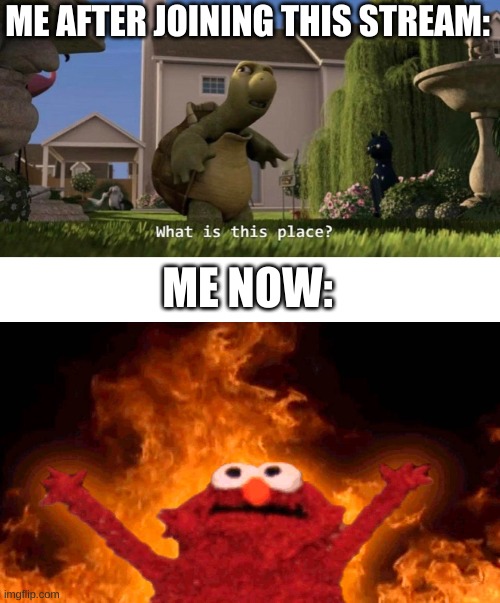 ME AFTER JOINING THIS STREAM:; ME NOW: | image tagged in what is this place,elmo fire | made w/ Imgflip meme maker