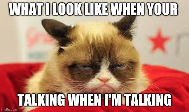 I'm talking so you better stop! |  WHAT I LOOK LIKE WHEN YOUR; TALKING WHEN I'M TALKING | image tagged in grumpy cat,talking | made w/ Imgflip meme maker