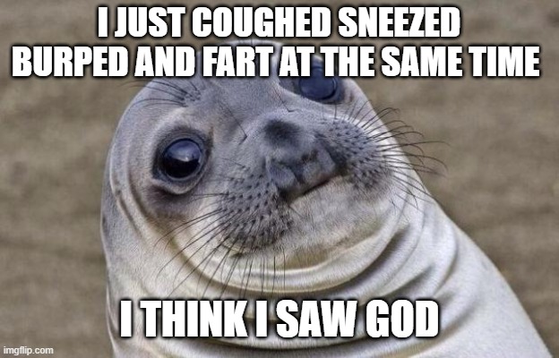 Awkward Moment Sealion Meme | I JUST COUGHED SNEEZED BURPED AND FART AT THE SAME TIME; I THINK I SAW GOD | image tagged in memes,awkward moment sealion,gifs,pie charts,ha ha tags go brr | made w/ Imgflip meme maker
