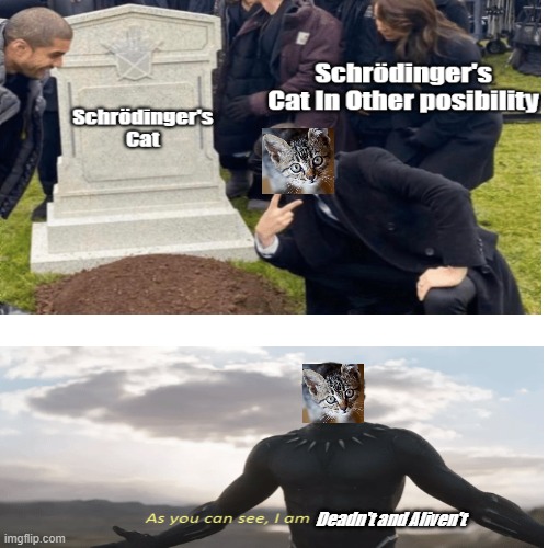 Schrödinger's Cat Is dedn't and Aliven't at the Same Time. | Deadn't and Aliven't | image tagged in schrodinger,cat,grant gustin over grave | made w/ Imgflip meme maker