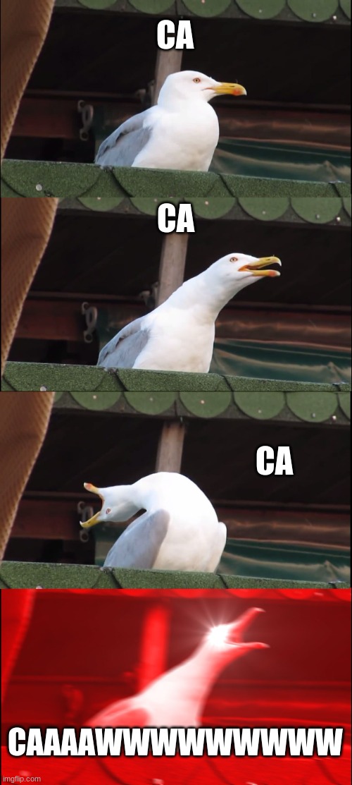 Inhaling Seagull | CA; CA; CA; CAAAAWWWWWWWWW | image tagged in memes,inhaling seagull | made w/ Imgflip meme maker