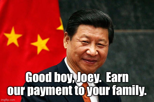 Xi Jinping | Good boy, Joey.  Earn our payment to your family. | image tagged in xi jinping | made w/ Imgflip meme maker