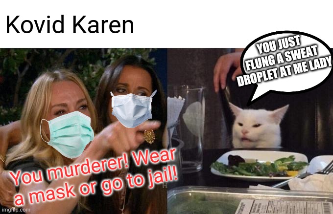 Covid Karen strikes again | Kovid Karen; YOU JUST FLUNG A SWEAT DROPLET AT ME LADY; You murderer! Wear a mask or go to jail! | image tagged in memes,woman yelling at cat | made w/ Imgflip meme maker