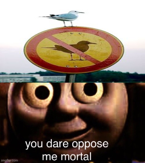 I see a bird. | image tagged in you dare oppose me mortal,bird,signs,you had one job,memes,meme | made w/ Imgflip meme maker