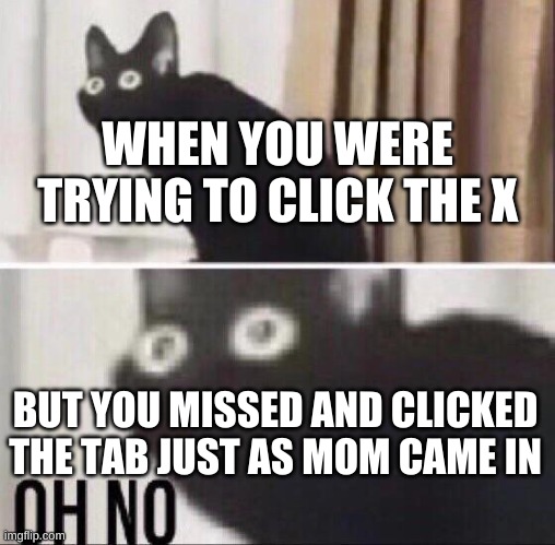 Oh no cat | WHEN YOU WERE TRYING TO CLICK THE X; BUT YOU MISSED AND CLICKED THE TAB JUST AS MOM CAME IN | image tagged in oh no cat | made w/ Imgflip meme maker