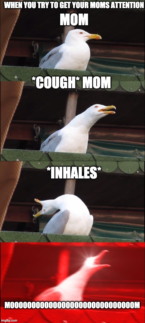 moooooooooooooom | image tagged in birds | made w/ Imgflip meme maker