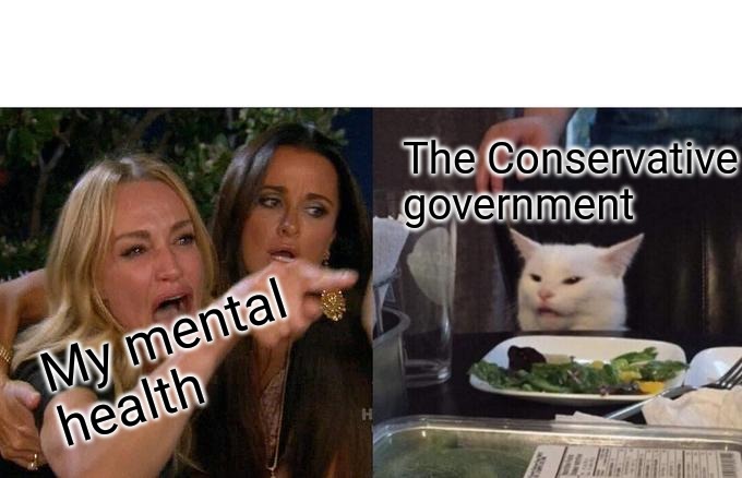 Woman Yelling At Cat | The Conservative government; My mental health | image tagged in memes,woman yelling at cat | made w/ Imgflip meme maker