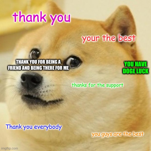 Thank You! | thank you; your the best; YOU HAVE DOGE LUCK; THANK YOU FOR BEING A FRIEND AND BEING THERE FOR ME; thanks for the support; Thank you everybody; you guys are the best | image tagged in memes,doge | made w/ Imgflip meme maker