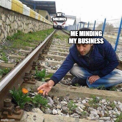 eeee | MY SIBLINGS; ME MINDING MY BUSINESS | image tagged in flower train man | made w/ Imgflip meme maker