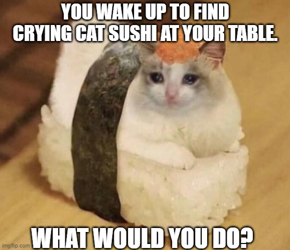 Cat Sushi | YOU WAKE UP TO FIND CRYING CAT SUSHI AT YOUR TABLE. WHAT WOULD YOU DO? | image tagged in cats | made w/ Imgflip meme maker