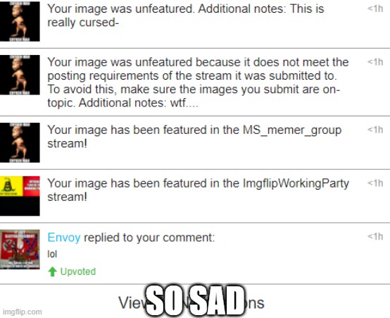 is very sad | SO SAD | image tagged in so very sad,chyken man rip | made w/ Imgflip meme maker