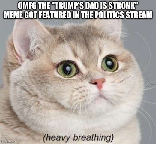 *visible scared* | OMFG THE "TRUMP'S DAD IS STRONK" MEME GOT FEATURED IN THE POLITICS STREAM | image tagged in memes,heavy breathing cat | made w/ Imgflip meme maker