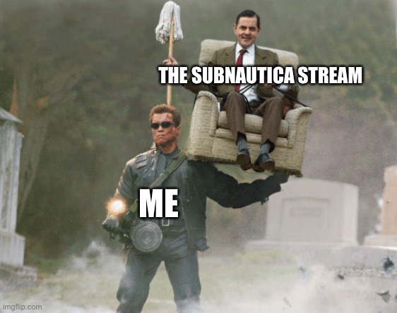 I will support his stream till the end | THE SUBNAUTICA STREAM; ME | image tagged in arnold schwarzenegger mr bean | made w/ Imgflip meme maker