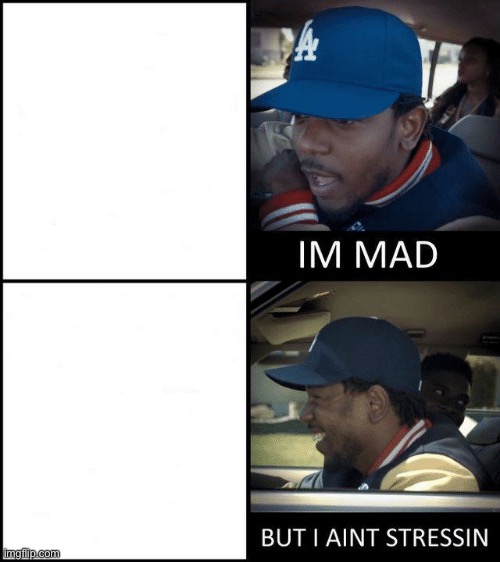 IM MAD BUT I AINT STRESSIN | image tagged in im mad but i aint stressin | made w/ Imgflip meme maker