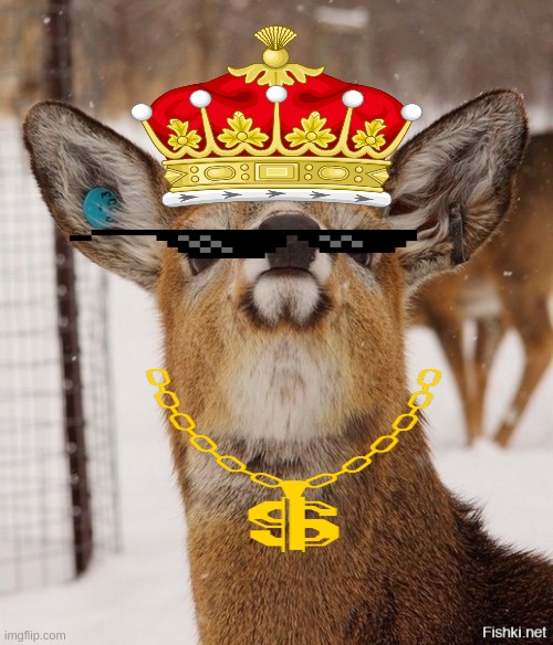 Gorgeous Deer | image tagged in gorgeous deer | made w/ Imgflip meme maker