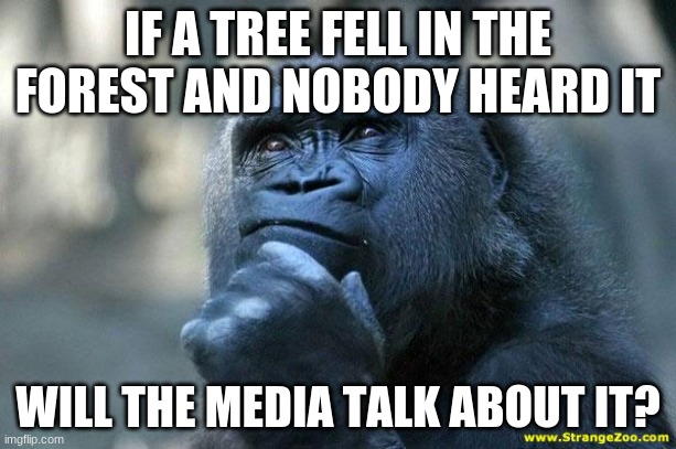 idk | IF A TREE FELL IN THE FOREST AND NOBODY HEARD IT; WILL THE MEDIA TALK ABOUT IT? | image tagged in deep thoughts | made w/ Imgflip meme maker