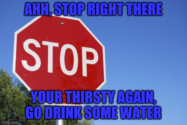 stop sign | AHH, STOP RIGHT THERE; YOUR THIRSTY AGAIN, GO DRINK SOME WATER | image tagged in stop sign | made w/ Imgflip meme maker