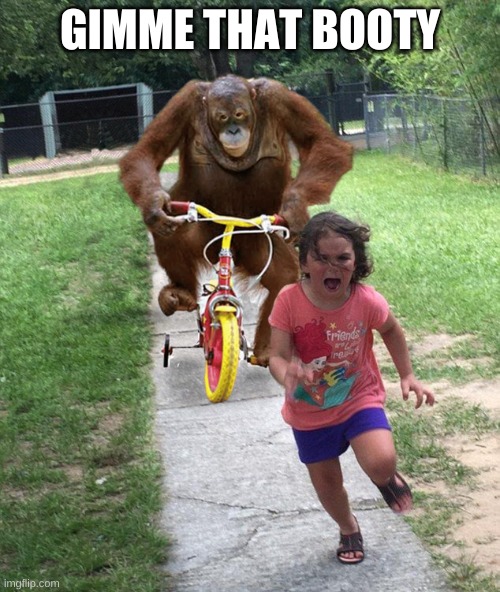 Orangutan chasing girl on a tricycle | GIMME THAT BOOTY | image tagged in orangutan chasing girl on a tricycle | made w/ Imgflip meme maker