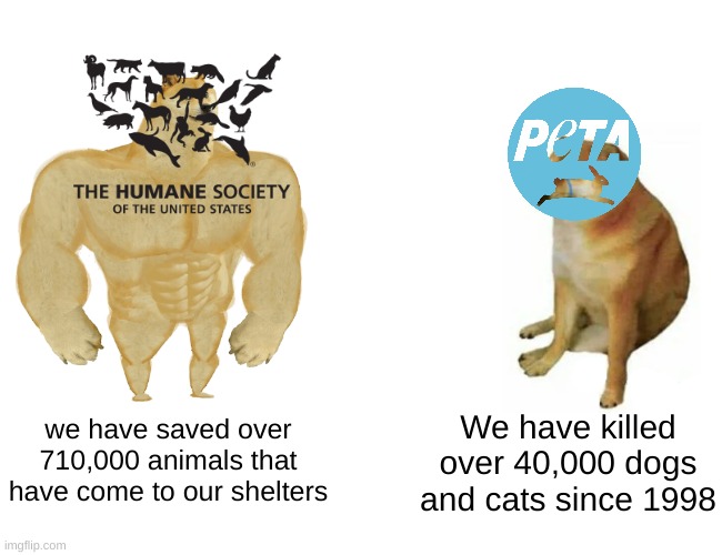 peta why | We have killed over 40,000 dogs and cats since 1998; we have saved over 710,000 animals that have come to our shelters | image tagged in memes,buff doge vs cheems,peta | made w/ Imgflip meme maker