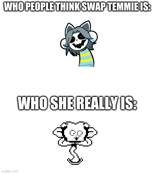 im not letting this die | WHO PEOPLE THINK SWAP TEMMIE IS:; WHO SHE REALLY IS: | image tagged in blank white template | made w/ Imgflip meme maker