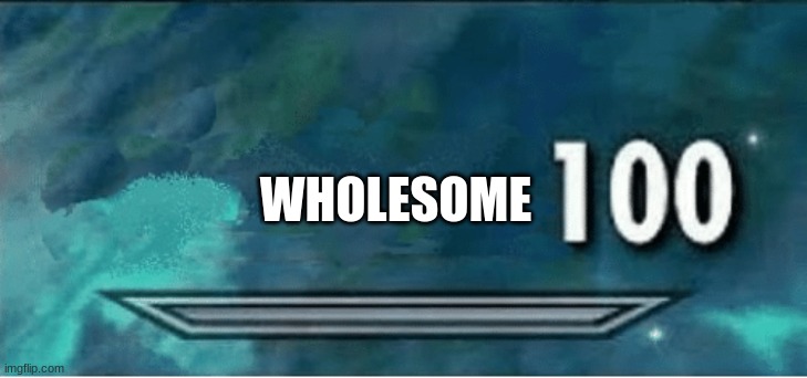 Skyrim 100 Blank | WHOLESOME | image tagged in skyrim 100 blank | made w/ Imgflip meme maker