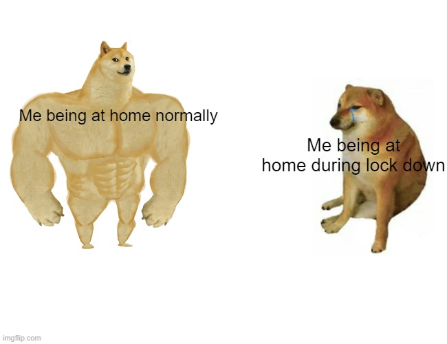 Lockdown dogs | Me being at home normally; Me being at home during lock down | image tagged in memes,buff doge vs cheems,lockdown,coronavirus | made w/ Imgflip meme maker