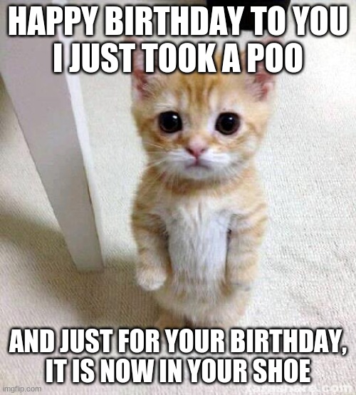 Cute Cat | HAPPY BIRTHDAY TO YOU
I JUST TOOK A POO; AND JUST FOR YOUR BIRTHDAY,
IT IS NOW IN YOUR SHOE | image tagged in memes,cute cat | made w/ Imgflip meme maker