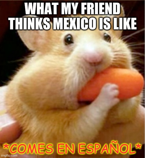 ¡Hola! | WHAT MY FRIEND THINKS MEXICO IS LIKE; *COMES EN ESPAÑOL* | image tagged in hamster eats carrot mouthful | made w/ Imgflip meme maker