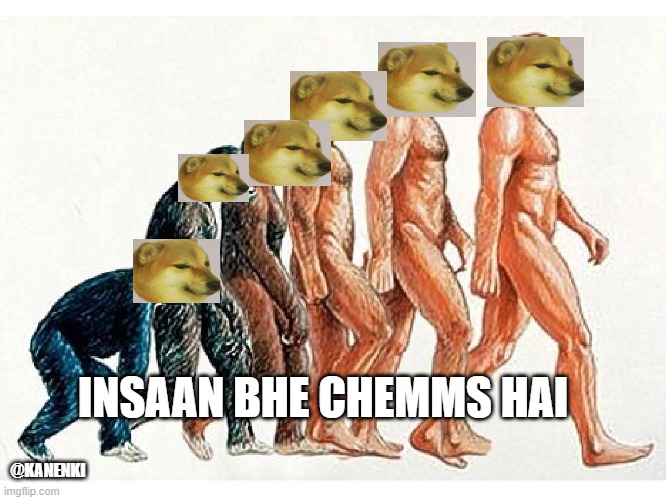 cheems | @KANENKI; INSAAN BHE CHEMMS HAI | image tagged in funny | made w/ Imgflip meme maker