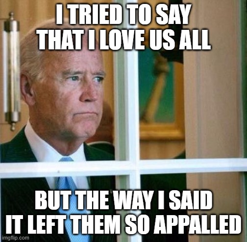 Biden Loves Us All | I TRIED TO SAY THAT I LOVE US ALL; BUT THE WAY I SAID IT LEFT THEM SO APPALLED | image tagged in sad joe biden | made w/ Imgflip meme maker