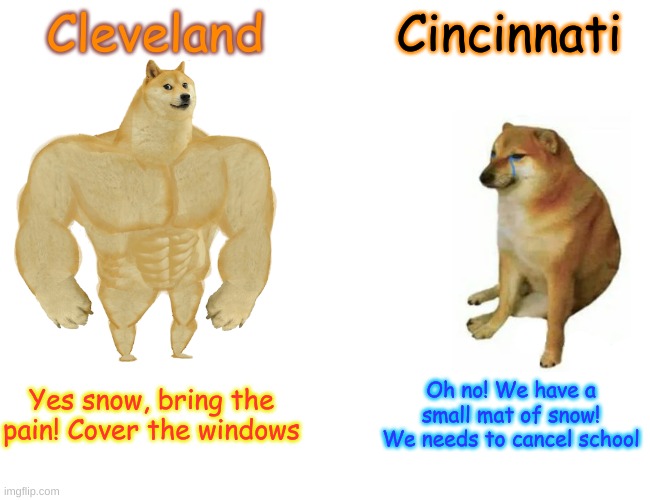 I had a snow day | Cleveland; Cincinnati; Yes snow, bring the pain! Cover the windows; Oh no! We have a small mat of snow! We needs to cancel school | image tagged in memes,buff doge vs cheems | made w/ Imgflip meme maker