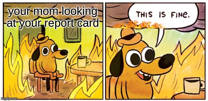 This Is Fine | your mom looking at your report card | image tagged in memes,this is fine | made w/ Imgflip meme maker