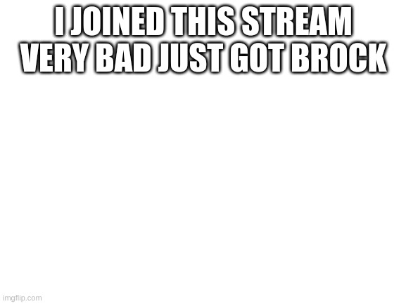 Blank White Template | I JOINED THIS STREAM VERY BAD JUST GOT BROCK | image tagged in blank white template | made w/ Imgflip meme maker