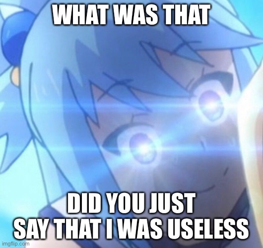 She is tho | WHAT WAS THAT; DID YOU JUST SAY THAT I WAS USELESS | image tagged in aqua konosuba | made w/ Imgflip meme maker