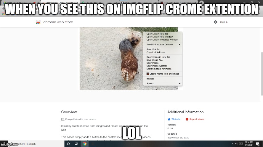 BREH |  LOL; WHEN YOU SEE THIS ON IMGFLIP CROME EXTENTION | image tagged in lol,lol so funny,dog,pigeon | made w/ Imgflip meme maker