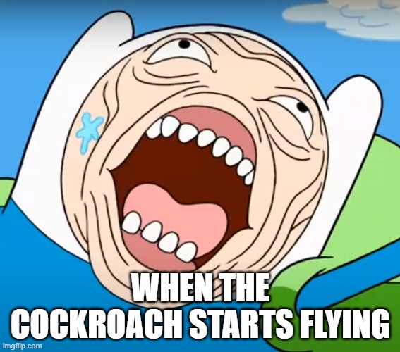 The FIRST "Finn's Face" meme! | WHEN THE COCKROACH STARTS FLYING | image tagged in finn's face | made w/ Imgflip meme maker