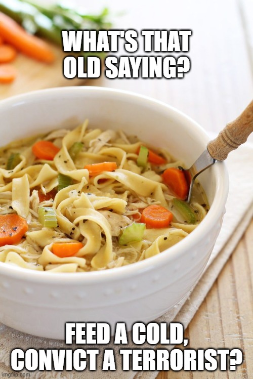 Feed a cold, convict a terrorist? | WHAT'S THAT OLD SAYING? FEED A COLD, CONVICT A TERRORIST? | image tagged in chicken soup | made w/ Imgflip meme maker