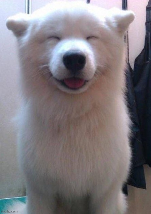 Awwwwesome | image tagged in awwwwesome | made w/ Imgflip meme maker