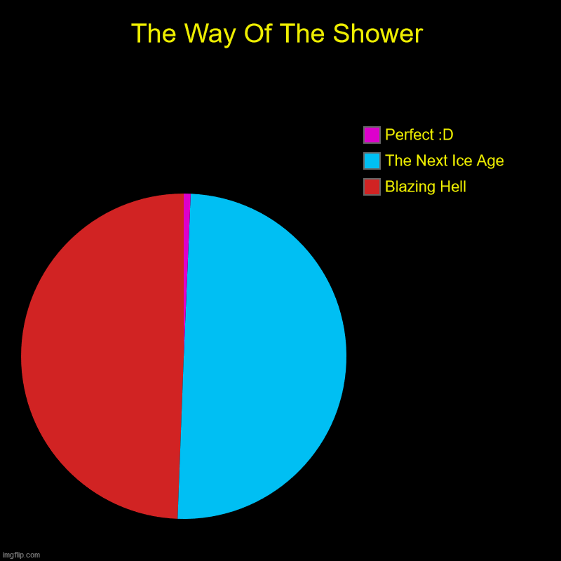 The Way Of The Shower | Blazing Hell, The Next Ice Age, Perfect :D | image tagged in charts,pie charts | made w/ Imgflip chart maker