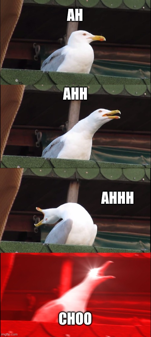 Inhaling Seagull | AH; AHH; AHHH; CHOO | image tagged in memes,inhaling seagull | made w/ Imgflip meme maker