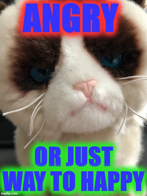 grumpy cat | ANGRY; OR JUST WAY TO HAPPY | image tagged in grumpy cat | made w/ Imgflip meme maker