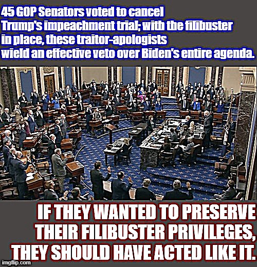 The filibuster does not make sense in a world where the Senate minority cannot recognize treason. | image tagged in traitors,senate,senators,trump impeachment,impeach trump,government | made w/ Imgflip meme maker