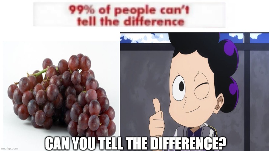 THERE IS NO DIFFERENCE |  CAN YOU TELL THE DIFFERENCE? | image tagged in grape,mha,memes,and that's all i have to say about that | made w/ Imgflip meme maker