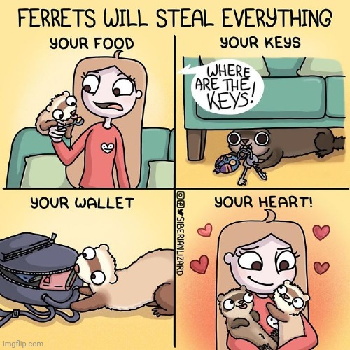 Ferret comic | image tagged in ferret,comics/cartoons,comics,comic | made w/ Imgflip meme maker